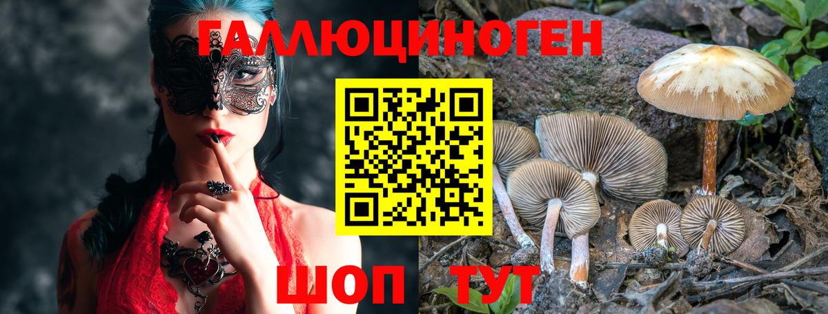 Галлюциногенные грибы MAGIC MUSHROOMS Тимашёвск