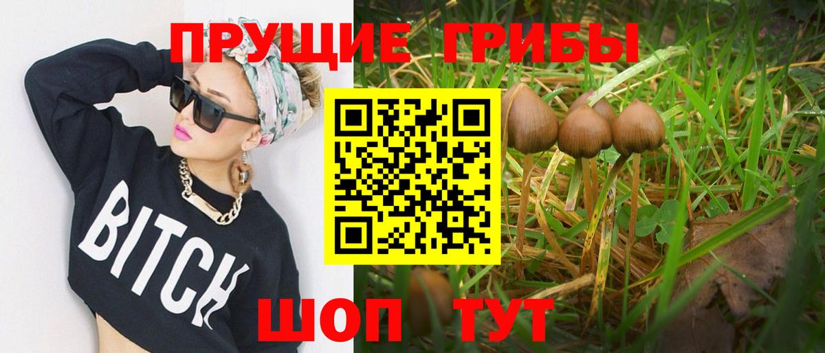 Тимашёвск  Псилоцибиновые грибы Psilocybine cubensis  Вход с VPN 
